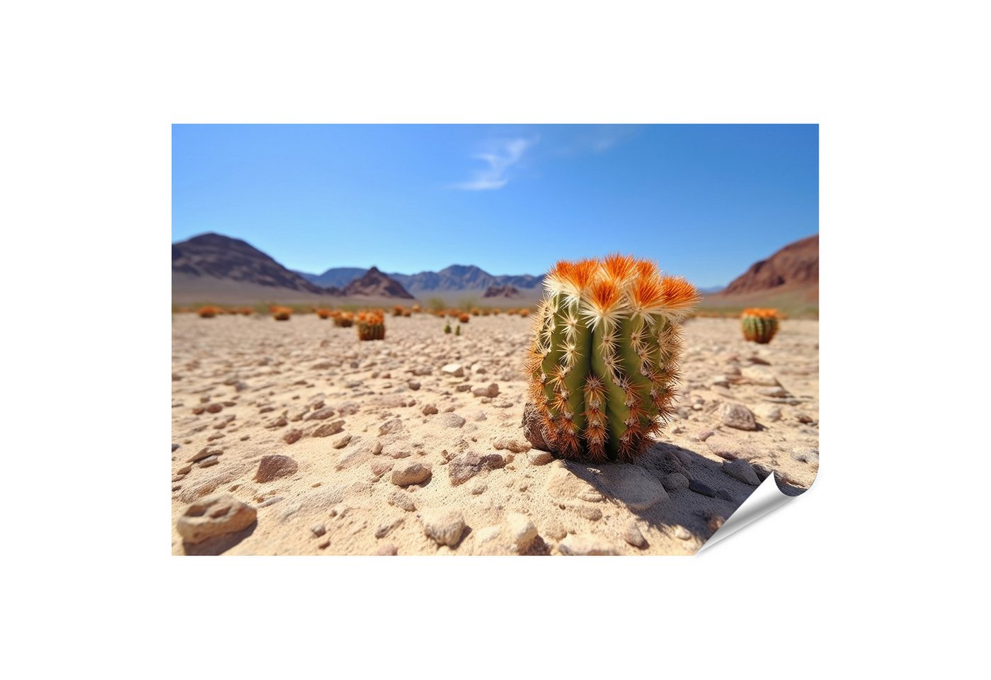 islandburner Poster Blühender Kaktus vor Wüstenlandschaft A Bilder von islandburner