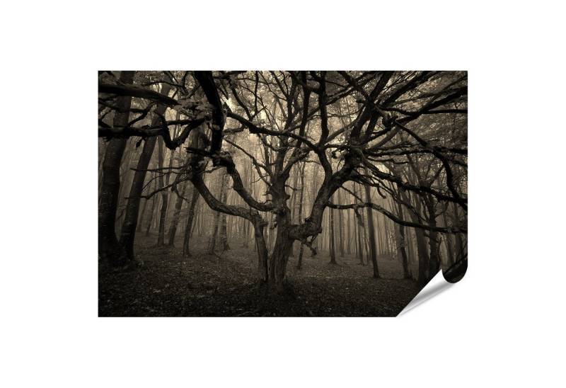 islandburner Poster Düsterer Wald mit knorrigem Baum im Nebel Wandbild islandburner Poster Düsterer Wald mit knorrigem Baum im Nebel Wandbild von islandburner