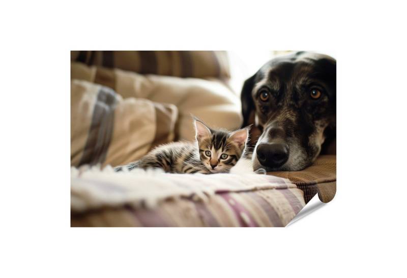 islandburner Poster Ein kleines Kätzchen entspannt auf einer Couch, neben einem Hundekopf von islandburner