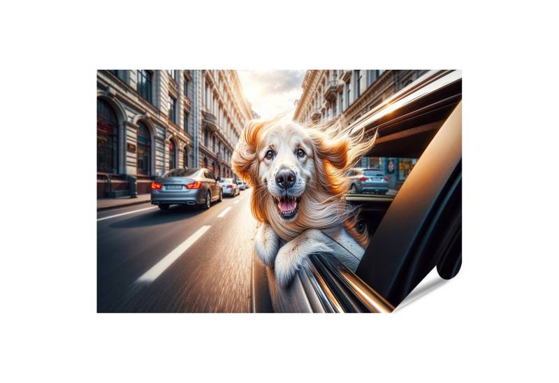 islandburner Poster Goldener Retriever genieät euphorisch eine Autofahrt, Kopf aus Fenster von islandburner