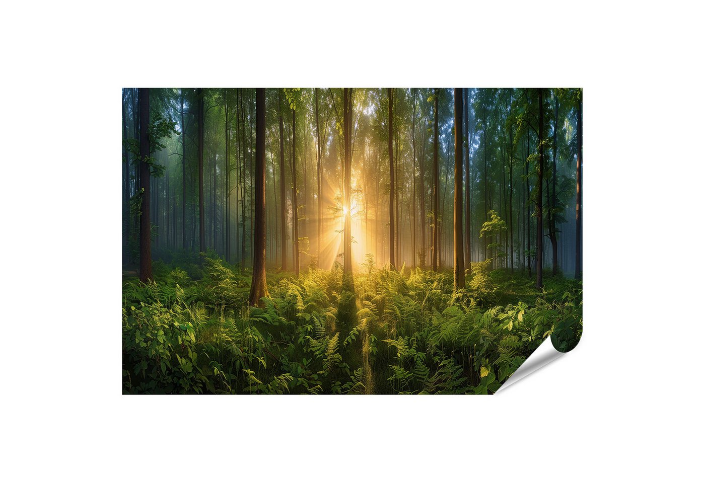 islandburner Poster Unbeleuchteter Waldweg im Morgennebel, hohe Bäume säumen den Weg islandburner Poster Unbeleuchteter Waldweg im Morgennebel, hohe Bäume säumen den Weg von islandburner