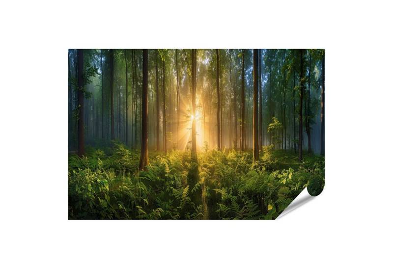 islandburner Poster Unbeleuchteter Waldweg im Morgennebel, hohe Bäume säumen den Weg von islandburner