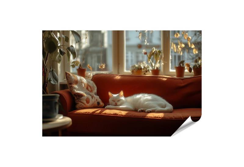 islandburner Poster Weiße Katze schlummert sonnig auf rotem Sofa von islandburner
