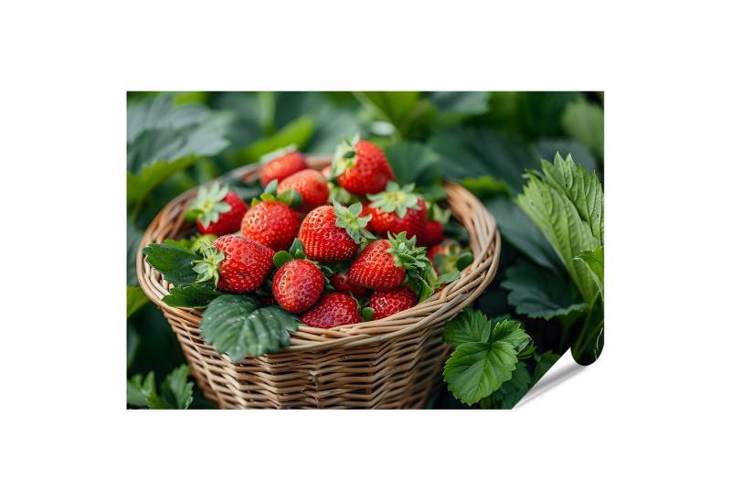 islandburner Poster äberfüllter Korb mit reifen Erdbeeren in einem üppigen grünen Garten K von islandburner
