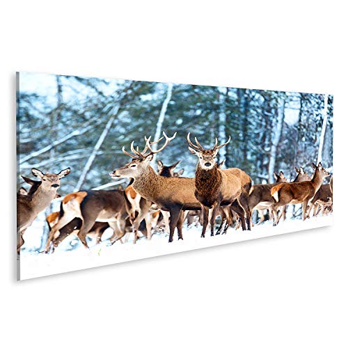islandburner Prime Bild auf Leinwand Künstlerische Winter Weihnachten Natur Wildlife Landschaft Edle Hirsch Bilder Wandbilder Poster islandburner Prime Bild auf Leinwand Künstlerische Winter Weihnachten Natur Wildlife Landschaft Edle Hirsch Bilder Wandbilder Poster von islandburner