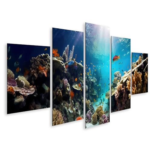 islandburner Prime Bild auf Leinwand Meer Unterwasserfische Korallenriff Aquarium Ozeanarium Tierwelt Bunt Bilder Wandbilder Poster von islandburner