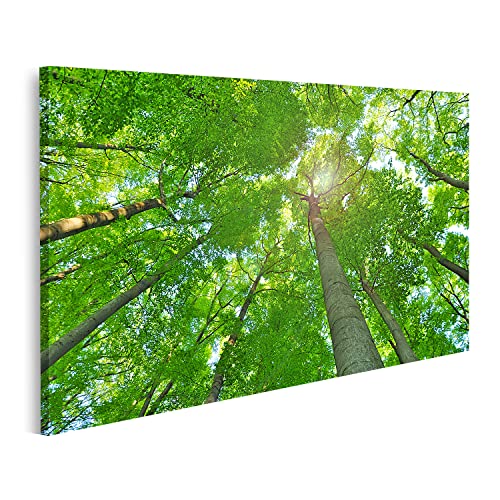 islandburner Prime Bild auf Leinwand Natur Wald Bäume Wachsen Nach Oben Zur Sonne Tapete Bilder Wandbilder Poster von islandburner
