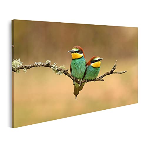 islandburner Prime Bild auf Leinwand Paar Bienenfresser Vögel auf AST Landschaften Natur Bilder Wandbilder Poster islandburner Prime Bild auf Leinwand Paar Bienenfresser Vögel auf AST Landschaften Natur Bilder Wandbilder Poster von islandburner