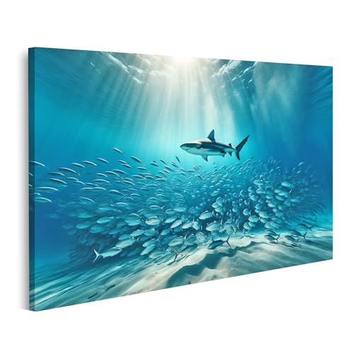 islandburner Prime Bild auf Leinwand Stille Unterwasserwelt: Hai umgeben von Fischschwarm Bilder Wandbilder Poster von islandburner