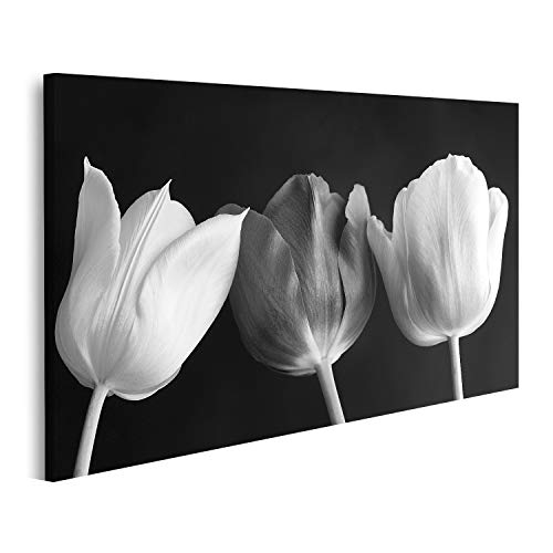 islandburner Prime Bild auf Leinwand Tulpen Blumen Schwarz Weiß Bilder Wandbilder Poster islandburner Prime Bild auf Leinwand Tulpen Blumen Schwarz Weiß Bilder Wandbilder Poster von islandburner