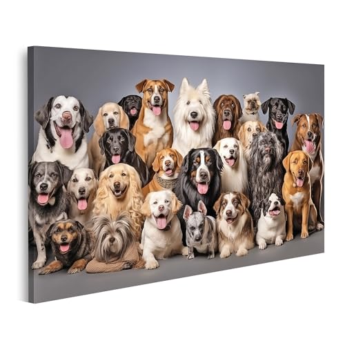 islandburner Prime Bild auf Leinwand große Gruppe Hunde verschiedene Rassen Haustiere sitzen weiß Bilder Wandbilder Poster von islandburner