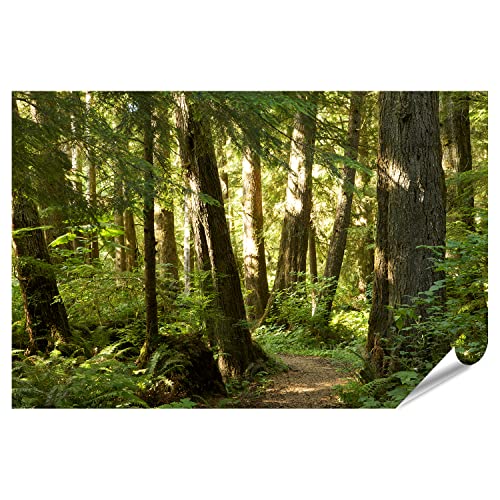 islandburner XXL Bild Poster Bäume Wald Premium Bilder Fotodruck islandburner XXL Bild Poster Bäume Wald Premium Bilder Fotodruck von islandburner