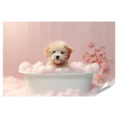 islandburner XXL Bild Poster Niedlicher Bär Welpe Hund Badewanne Haustiere Reinigung Premium Bilder Fotodruck von islandburner