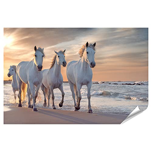 islandburner XXL Bild Poster Weiße Pferde Camargue Frankreich Herde Premium Bilder Fotodruck von islandburner