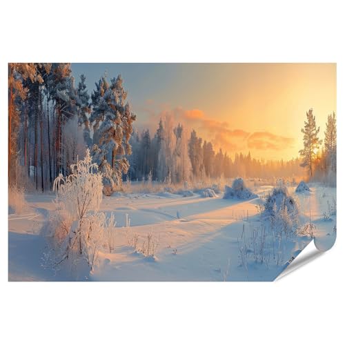 islandburner XXL Bild Poster Winterlicher Sonnenaufgang im schneebedeckten Wald mit hohen Kiefern Premium Bilder Fotodruck islandburner XXL Bild Poster Winterlicher Sonnenaufgang im schneebedeckten Wald mit hohen Kiefern Premium Bilder Fotodruck von islandburner