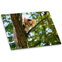 Itenga Deluxe Schreibtischunterlage Katze 50x40cm A3 Rut Itenga Deluxe Schreibtischunterlage Katze 50x40cm A3 Rut von itenga