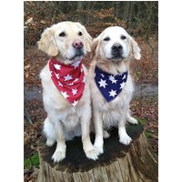Bandana Hundehalstuch Rot Blau Mit Weißen Sternen. Beidseits Zu Tragen/Zum Wenden. Verschiedene Größen. Klettverschluss Bandana Hundehalstuch Rot Blau Mit Weißen Sternen. Beidseits Zu Tragen/Zum Wenden. Verschiedene Größen. Klettverschluss von itsadog