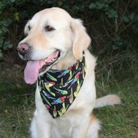 Bandana Hundehalstuch Schwarz Mit Bunten Papageien. Verschiedene Größen Bandana Hundehalstuch Schwarz Mit Bunten Papageien. Verschiedene Größen von itsadog