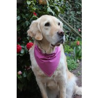 Bandana Hundehalstuch in Pink Mit Blumenmuster. Verschiedene Größen. Zum Wenden/Beidseits Zu Tragen. Varianten Bandana Hundehalstuch in Pink Mit Blumenmuster. Verschiedene Größen. Zum Wenden/Beidseits Zu Tragen. Varianten von itsadog