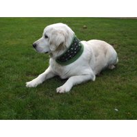 Hundeloop Halssocke Hundeschal Loop Lang Halswärmer Schlauchschal Hunde Winter Grün Anker. Verschiedene Tragevarianten Und Größen Hundeloop Halssocke Hundeschal Loop Lang Halswärmer Schlauchschal Hunde Winter Grün Anker. Verschiedene Tragevarianten Und Größen von itsadog