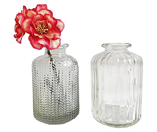 2er Set Glasflaschen Jazz - kleine Vase, Blumenvase, Tischdekoration, Glasvasen, Landhaus (Klar) von itsisa