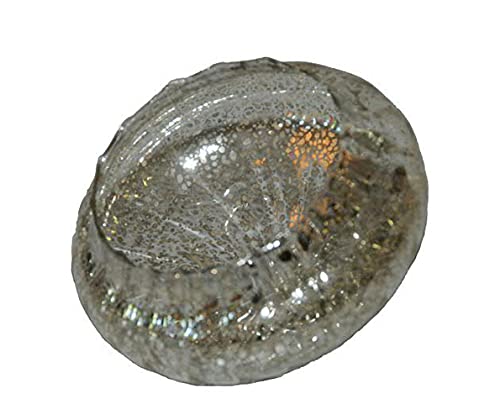 Glas Schwimmschale rund Silber, D: 12 cm - Schwimmkerzen, Tischdeko, Teelichthalter von itsisa