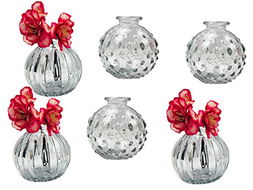 Glasvase Jive, Klarglas Vase, H: 8,5 cm, 6er Set - kleine Vase, Blumenvase, Tischdekoration, Deko Hochzeit von itsisa