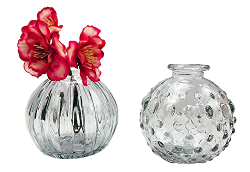 Glasvase Jive, Vase H: 8,5 cm (2er Set) - kleine Vasen, Blumenvase, Tischdekoration, Deko Hochzeit (Klar) von itsisa
