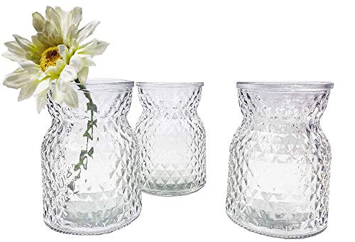 Glasvase Posh, kleine Vase, H: 10,5 cm (3er Set) - kleine Vasen, Blumenvase, Tischdekoration, Deko Hochzeit (Klar) von itsisa