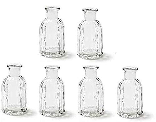 Kleine Vase Norinne XS, Kleine Glasvase, 6er Set - Glasflasche, Tischdekoration, Glasvasen, Landh von itsisa