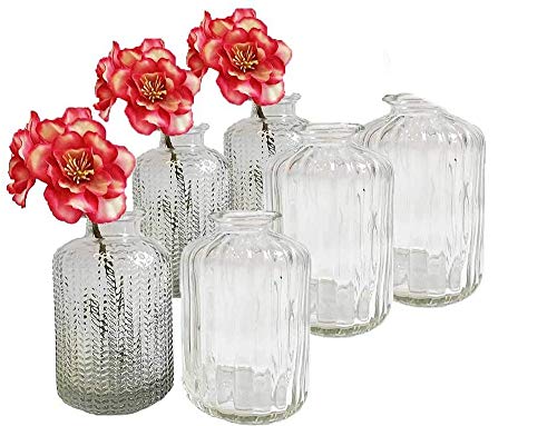 6er Set Glasflaschen Jazz klar - kleine Vase, Tischdekoration, Glasvasen, Landhaus von itsisa