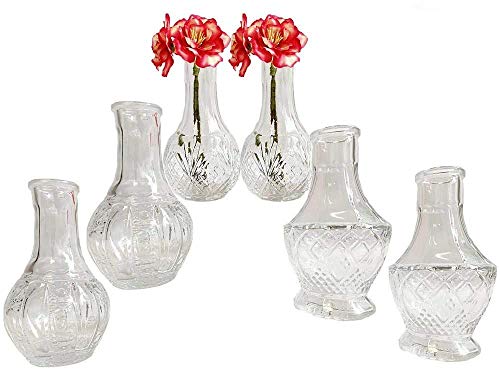 Kleine Vase 6er Set - Glasflasche, Tischdekoration, Glasvase, Landhaus Deko, Gastronomie, Klarglas (Petite S 11,5x6,5 cm) von itsisa