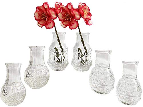 Kleine Vase 6er Set - Glasflasche, Tischdekoration, Glasvase, Landhaus Deko, Gastronomie, Klarglas (Petite XS 8x5 cm) von itsisa