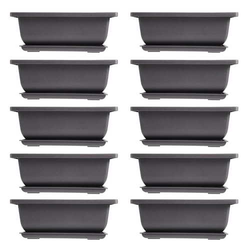 iubfegt 10 Packungen Bonsai Trainings Töpfe mit Tablett Kunststoff Bonsai Pflanzen Topf für Garten Wohnen Balkon 16,5X12Cm iubfegt 10 Packungen Bonsai Trainings Töpfe mit Tablett Kunststoff Bonsai Pflanzen Topf für Garten Wohnen Balkon 16,5X12Cm von iubfegt
