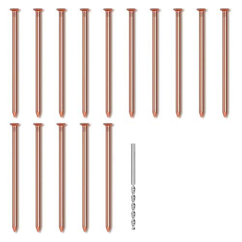 iubfegt 15 Stück Kupfernägel zum Entfernen Von Baumstümpfen und Wurzeln, 8 cm Lange Nägel Aus Reinem Kupfer mit Bohrer, Spikes zum Entfernen Von Baumstümpfen iubfegt 15 Stück Kupfernägel zum Entfernen Von Baumstümpfen und Wurzeln, 8 cm Lange Nägel Aus Reinem Kupfer mit Bohrer, Spikes zum Entfernen Von Baumstümpfen von iubfegt