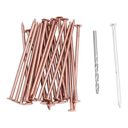 iubfegt Kupfernägel zum Töten Von Bäumen, Stumpfentfernungsspitzen, Hardware-Nägel für Bäume, 25 Stück iubfegt Kupfernägel zum Töten Von Bäumen, Stumpfentfernungsspitzen, Hardware-Nägel für Bäume, 25 Stück von iubfegt