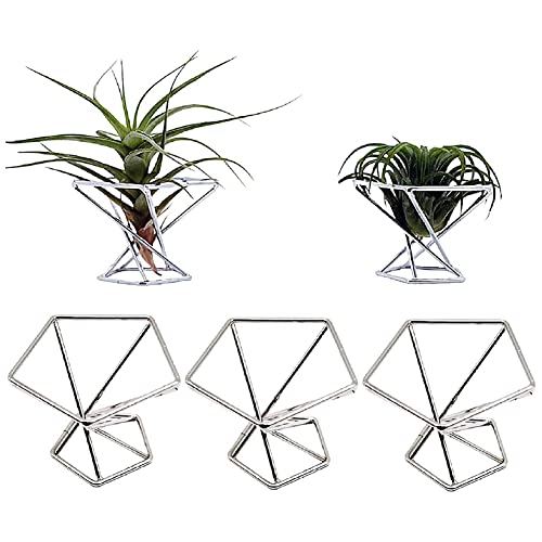 iubfegt Packung 5 Luft Pflanzen Halter Luft Pflanzen Halter Tillandsias Bildschirm Luft Reinigende Pflanzen BehäLter Luft Farn StäNder, Silber iubfegt Packung 5 Luft Pflanzen Halter Luft Pflanzen Halter Tillandsias Bildschirm Luft Reinigende Pflanzen BehäLter Luft Farn StäNder, Silber von iubfegt