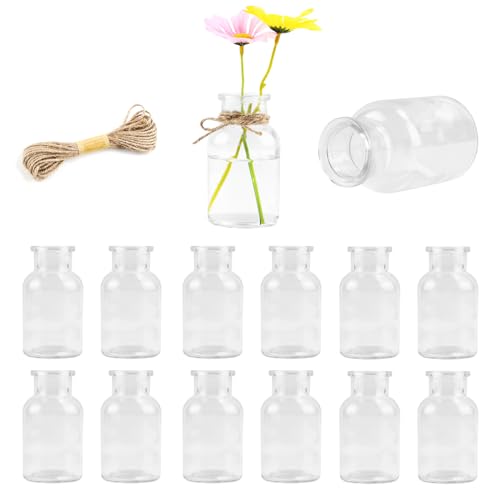 iulrtba 12 Stück Kleine Glasvasen für Tischdeko, 10cm Hoch 125ml Kleine Vasen Set für Hochzeit- Mini Vasen Glasfläschchen mit 5m Juteschnur & 12 Etikettenpapi für Zuhause, Hochzeiten, Geburtstage iulrtba 12 Stück Kleine Glasvasen für Tischdeko, 10cm Hoch 125ml Kleine Vasen Set für Hochzeit- Mini Vasen Glasfläschchen mit 5m Juteschnur & 12 Etikettenpapi für Zuhause, Hochzeiten, Geburtstage von iulrtba