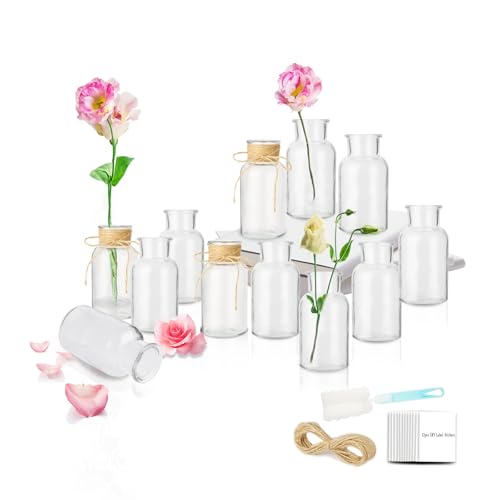 iulrtba 12 Stück Kleine Glasvasen für Tischdeko,12.8cm Hoch 250ml Kleine Vasen Set für Hochzeit, Mini Vasen Glasfläschchen mit Schwammbürste, 5m Juteschnur & 12 Etikettenpapi für Zuhause, Hochzeiten von iulrtba