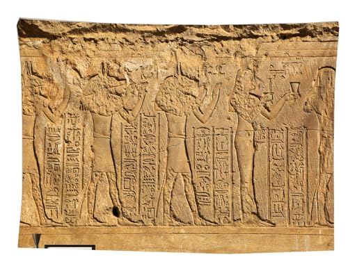 izielad Ägypten Wandteppich Hieroglyphische Schnitzereien Mythologie Wandbehang Kunst Tapisserie für Wohnzimmer Schlafzimmer Wohnheim Wohnkultur 130X150CM 51X59IN von izielad