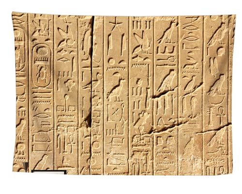 izielad Ägyptischer Wandteppich Antikes Ägypten Zivilisation Pharaokönig Hieroglyphe Vintage Alte Kultur Wandbehang für Zuhause Schlafzimmer Wohnzimmer Wohnheim 100X150CM 39.3X59IN von izielad