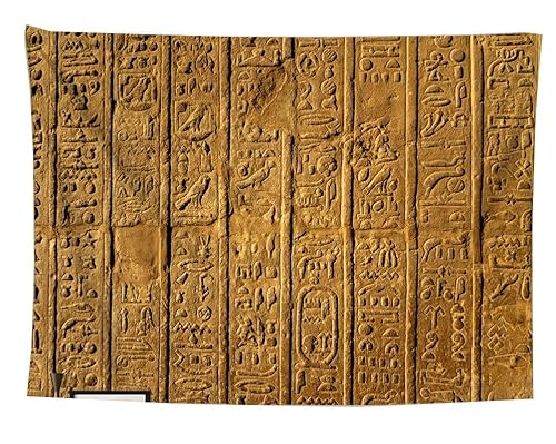 izielad Ägyptischer Wandteppich Hieroglyphische Schnitzereien Tapisserie Wandbehang Bettlaken Decke Wandkunst für Schlafzimmer Wohnzimmer Schlafsaal 130X150CM 51X59IN von izielad