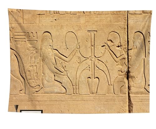 izielad Antikes Ägypten Tapisserie Priesterin Traditionelle Kleidung Symbol Alte Zivilisation Wandbehang Tapisserien für Heim Wand Dekor Tischdecke Decke 100X150CM 39.3X59IN von izielad