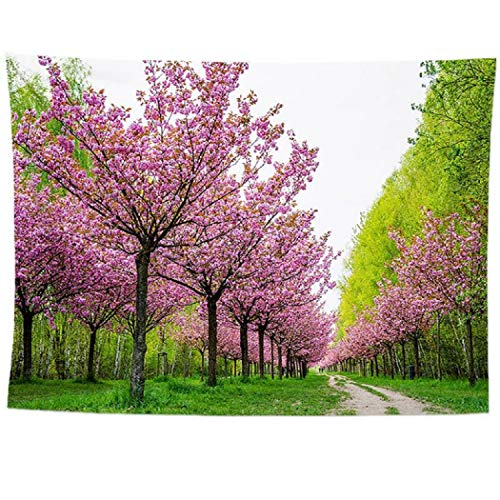 izielad Blume Baum Dekor Tapisserie für Schlafzimmer Frühling asiatische Kirschblüte Natur Szene Wand Tapisserie Garten Landschaft Wandbehang für Schlafzimmer Wohnzimmer College Wohnheim 100X150CM von izielad