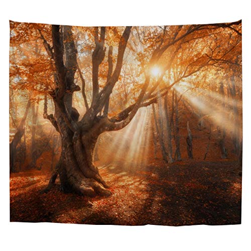 izielad Herbst Bäume Herbst Golden Sunrise Wandbehang Tapisserie Gelb Blätter Wald Landschaft Raum Dekor für Wohnzimmer Schlafzimmer 153x130cm 60"x51" von izielad