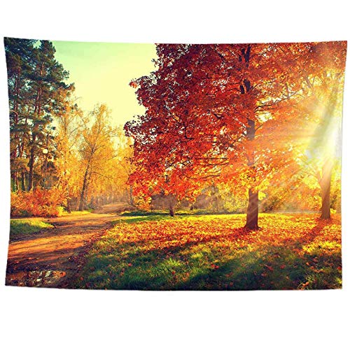 izielad Herbst Wald Baum gelb rotes Blatt Sonnenlicht Wandbehang Wandteppich für Schlafzimmer Wohnzimmer Wohnheim 130X150CM 51X59IN izielad Herbst Wald Baum gelb rotes Blatt Sonnenlicht Wandbehang Wandteppich für Schlafzimmer Wohnzimmer Wohnheim 130X150CM 51X59IN von izielad