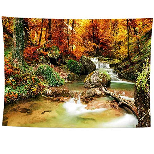 izielad Herbst Wald Gelb Rote Bäume Herbst Natur Landschaft Fluss Wand hängen Wandteppich für Schlafzimmer Wohnzimmer College Wohnheim Wohnkultur 130X150CM 51X59IN von izielad