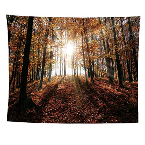 izielad Herbst Wald Wandbehang Natur Landschaft Sonnenschein durch Baum Wandteppich für Schlafzimmer Wohnzimmer Wohnheim Dekor 73X95CM 28.7X37.4IN von izielad