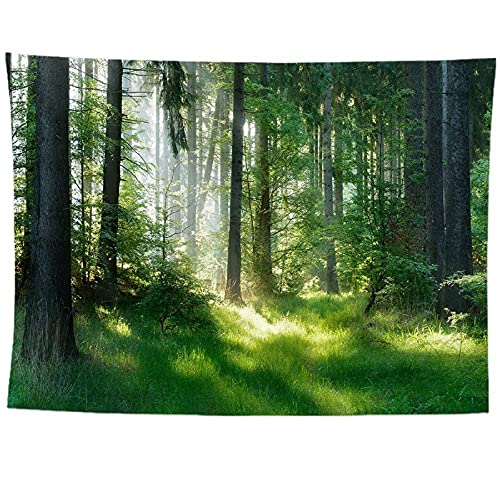 izielad Nebel Grün Bäume Dschungel Tapisserie Wandbehang für Kinderwohnheim Zimmer Wohnkultur 150X200CM 59X78.7IN von izielad