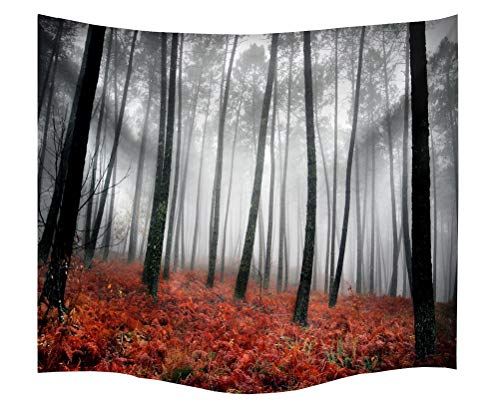 izielad Wald im Nebel Herbst Woods verzauberte Herbst der Morgen alte Baum Landschaft mit Bäumen rotes Gras Wohnkultur Wandbehang für Wohnzimmer Schlafzimmer Wohnheim 153x130cm 60"x51" izielad Wald im Nebel Herbst Woods verzauberte Herbst der Morgen alte Baum Landschaft mit Bäumen rotes Gras Wohnkultur Wandbehang für Wohnzimmer Schlafzimmer Wohnheim 153x130cm 60"x51" von izielad